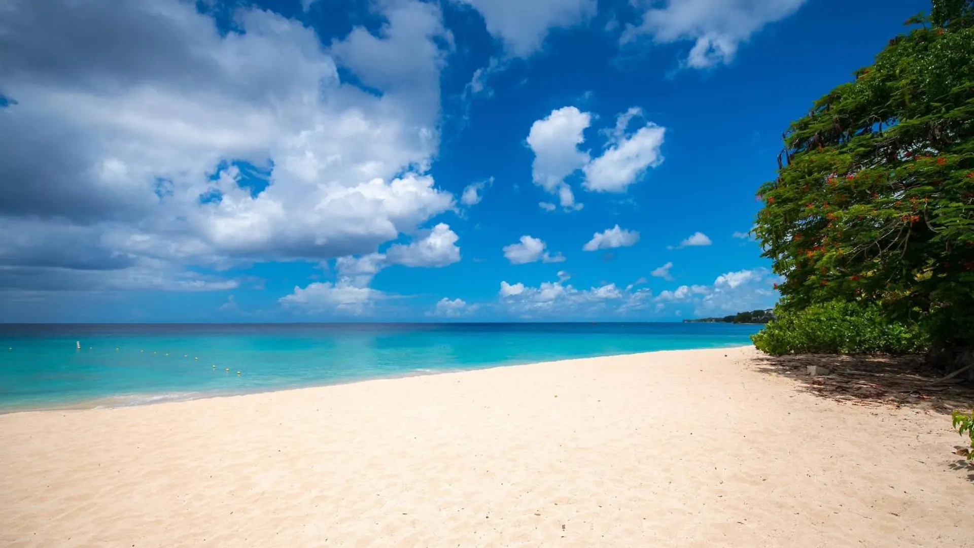 Crystal Cove By Elegant Hotels - All-Inclusive Сент-Джеймс